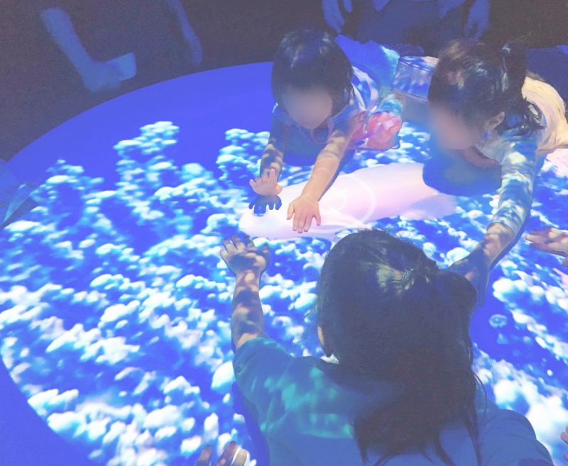ニフレル＊いろにふれる子供がデジタルの魚をタッチして遊ぶ