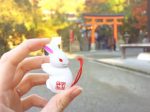 うさぎのおみくじがかわいい♡京都の宇治神社