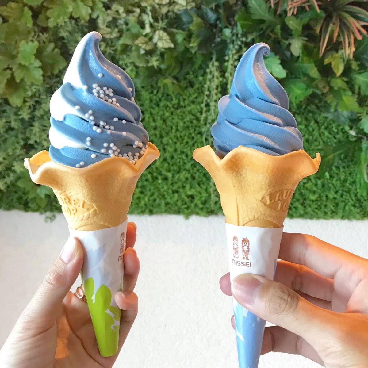 大阪のおすすめ観光スポット♡海遊館に行ってきました！