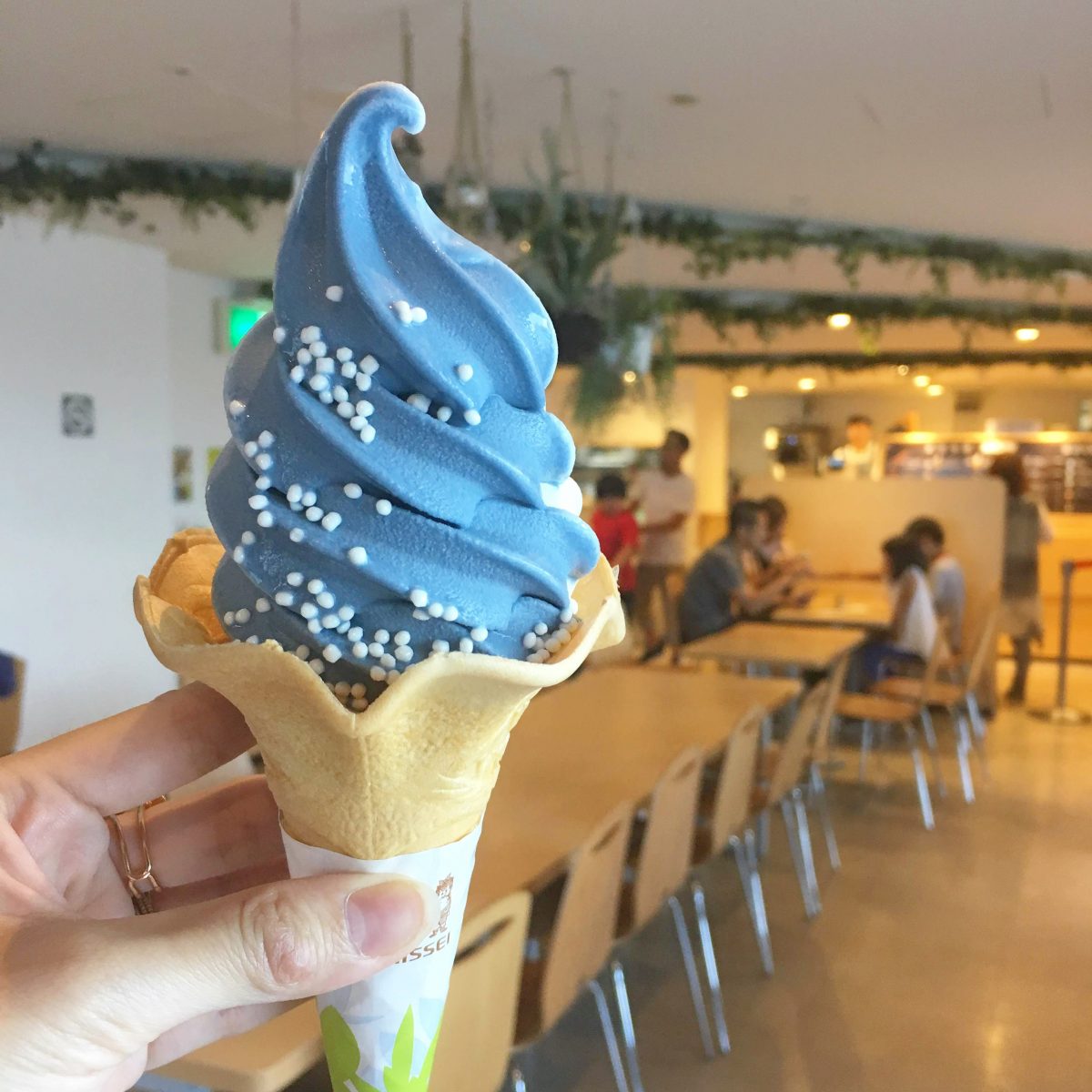 大阪のおすすめ観光スポット♡海遊館に行ってきました！