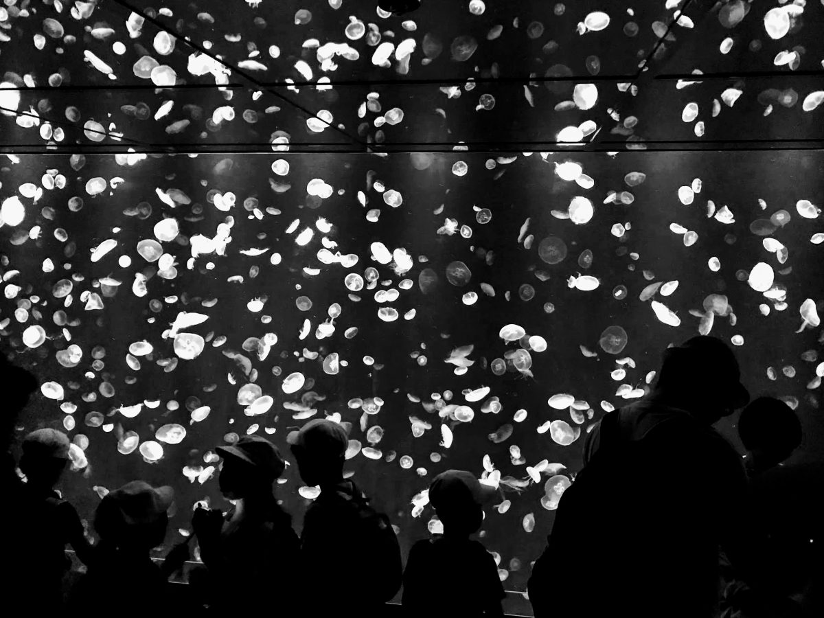 大阪のおすすめ観光スポット♡海遊館に行ってきました！