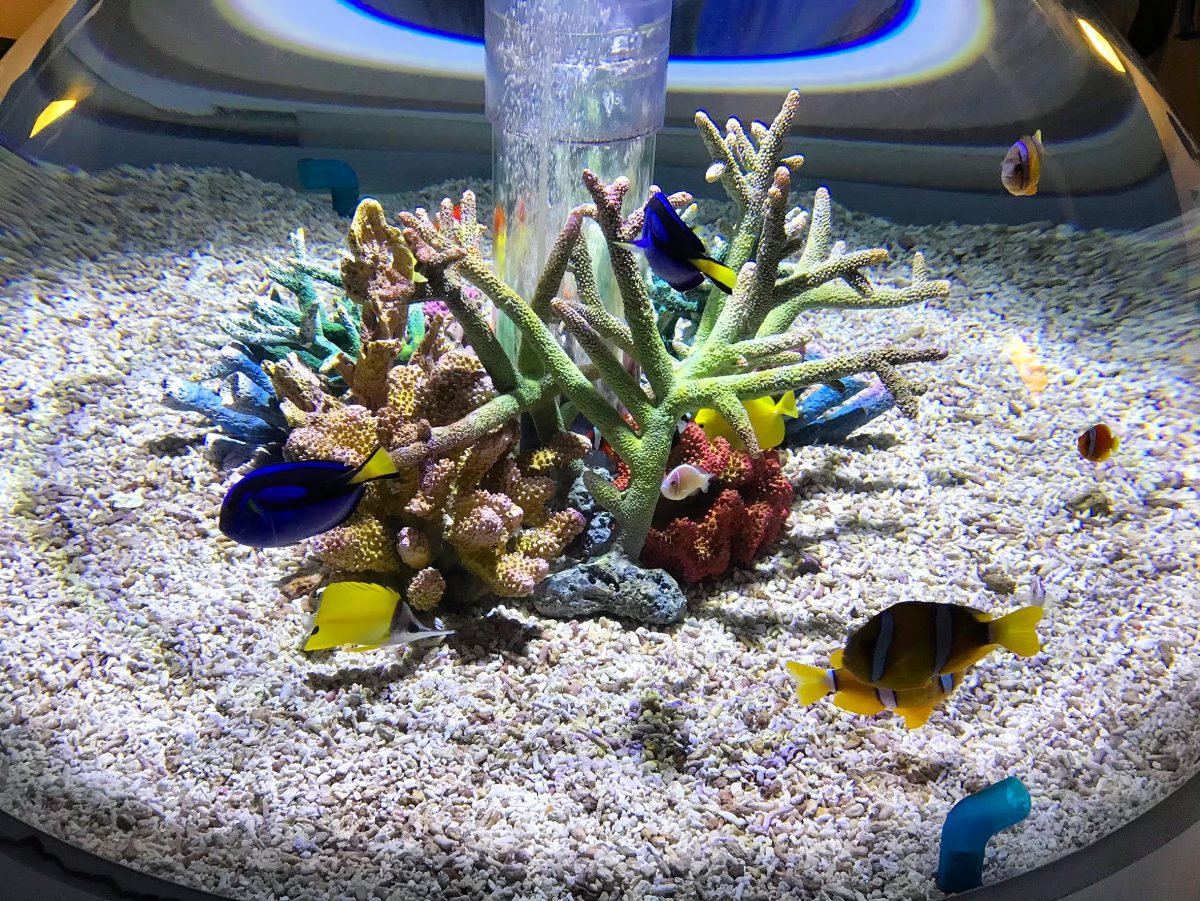 大阪のおすすめ観光スポット♡海遊館に行ってきました！