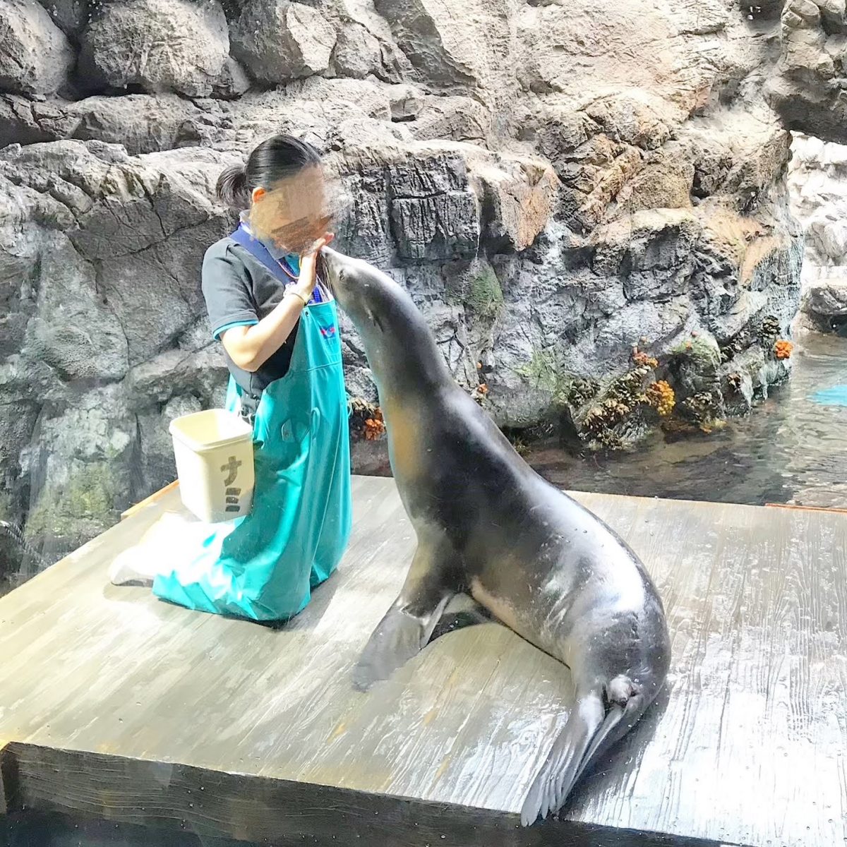 大阪のおすすめ観光スポット♡海遊館に行ってきました！