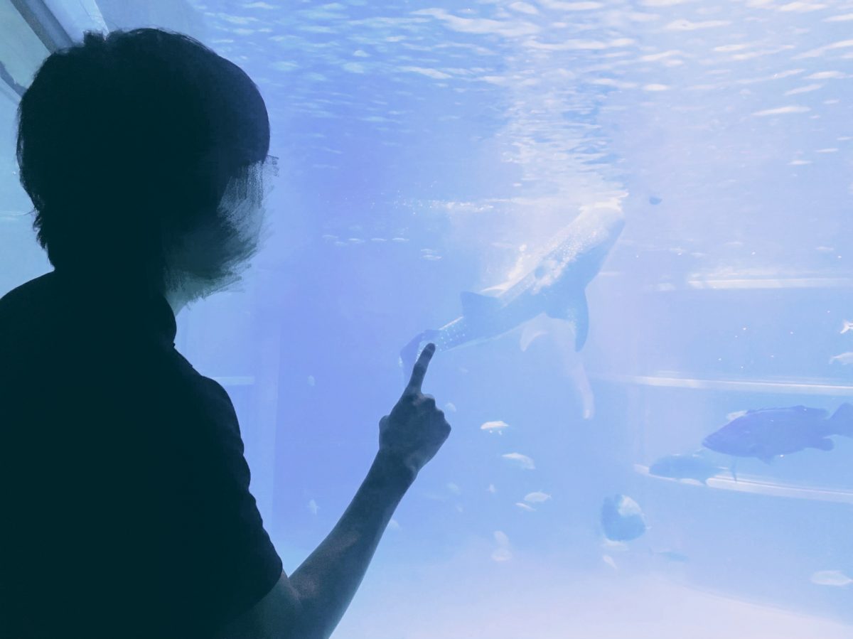 大阪のおすすめ観光スポット♡海遊館に行ってきました！