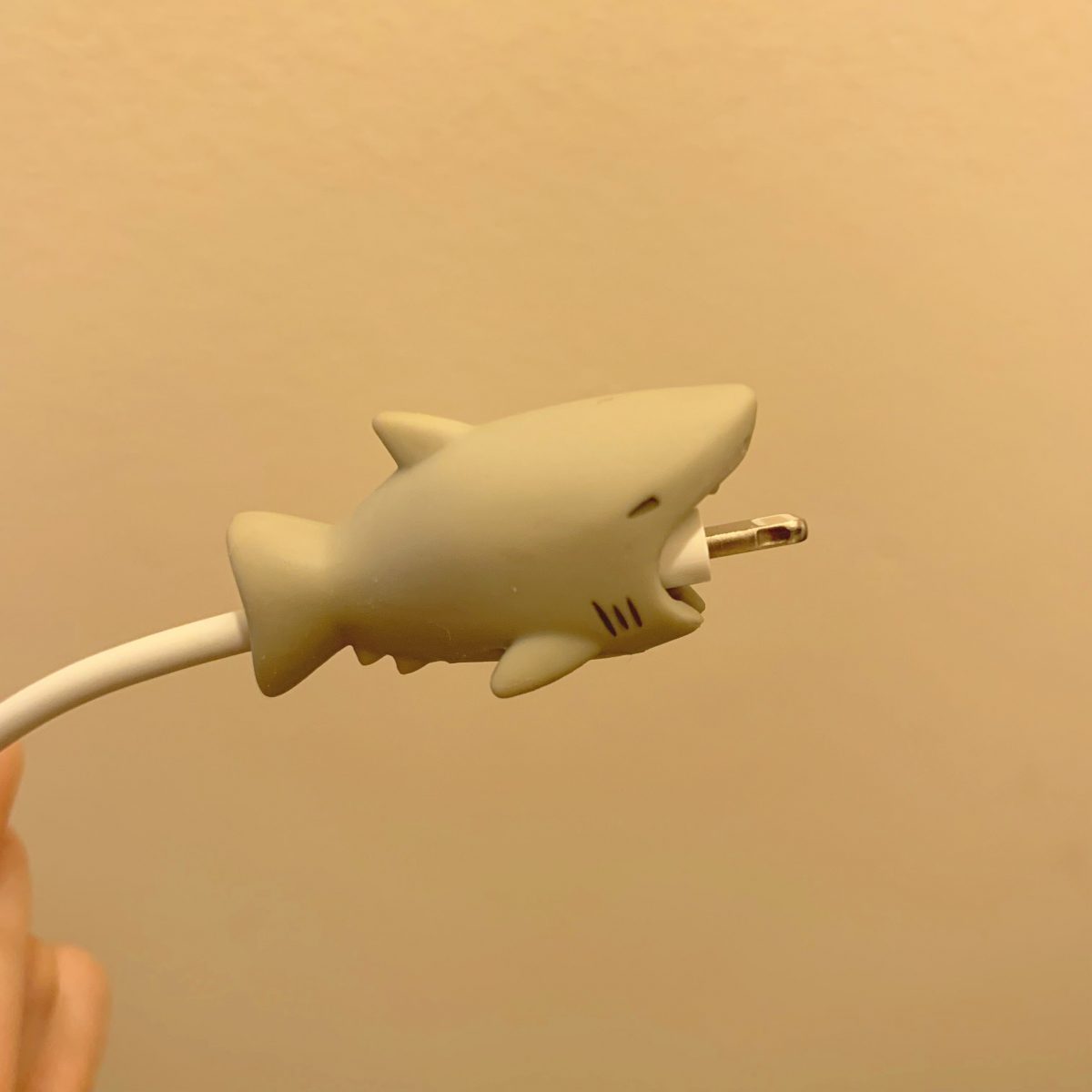 大阪のおすすめ観光スポット♡海遊館に行ってきました！