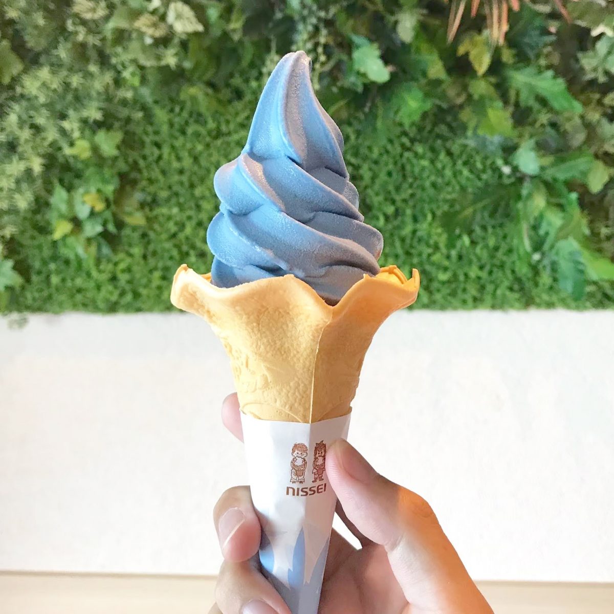 大阪のおすすめ観光スポット♡海遊館に行ってきました！