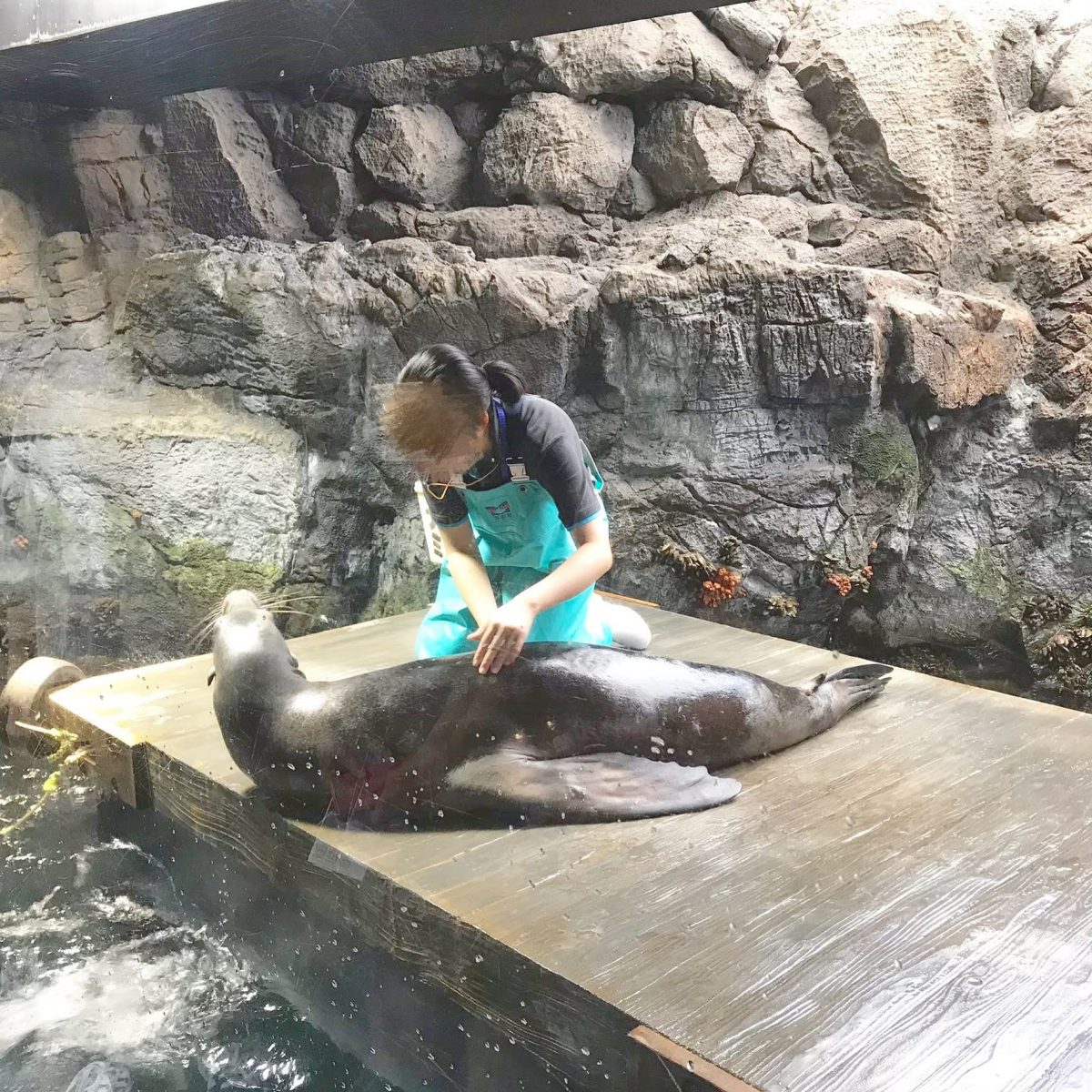 大阪のおすすめ観光スポット♡海遊館に行ってきました！