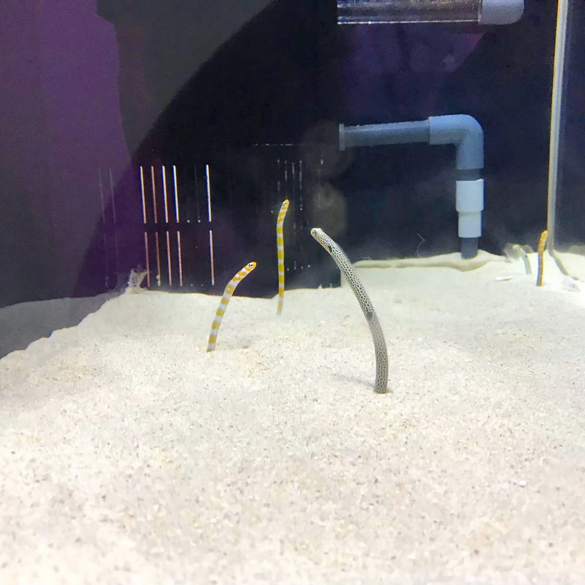 大阪のおすすめ観光スポット♡海遊館に行ってきました！