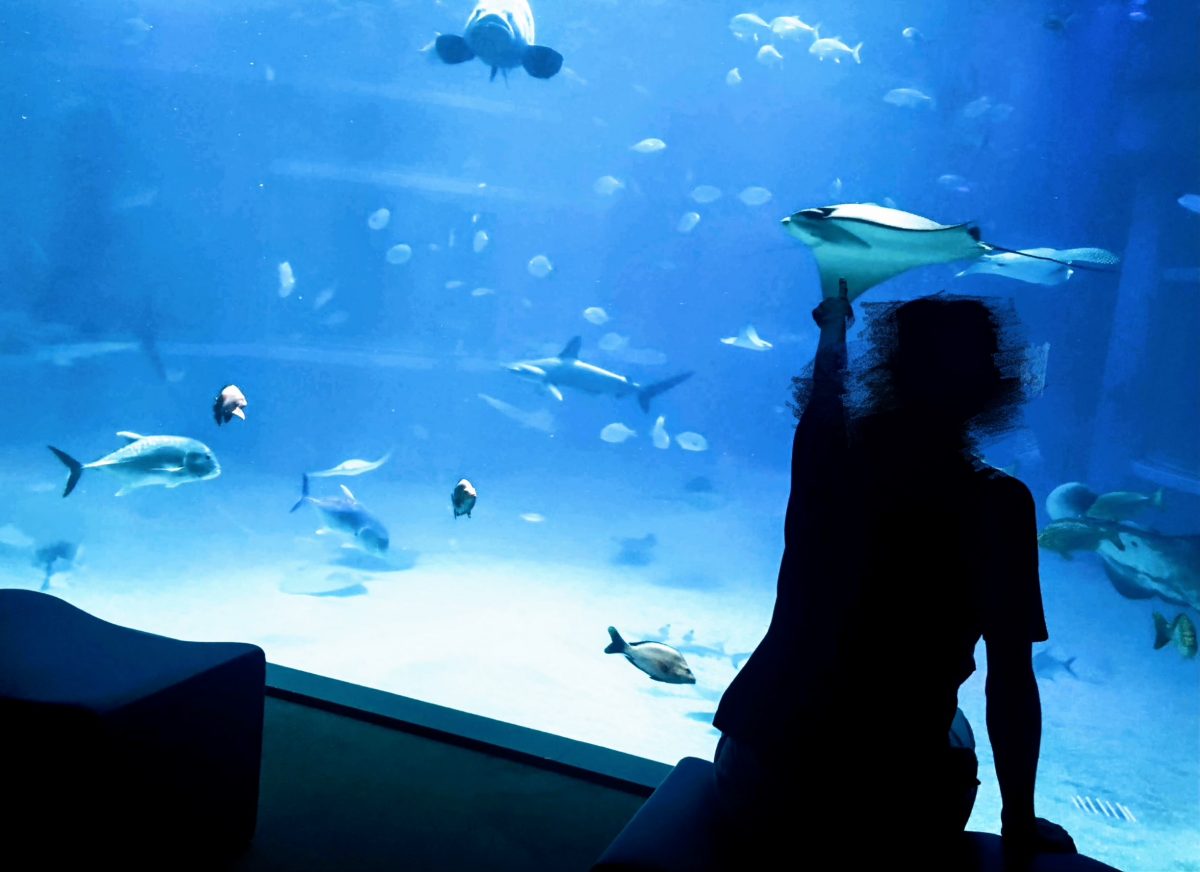 大阪のおすすめ観光スポット♡海遊館に行ってきました！