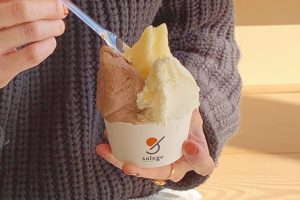 北加賀屋でおいしいジェラート♡『GELATERIA solege』
