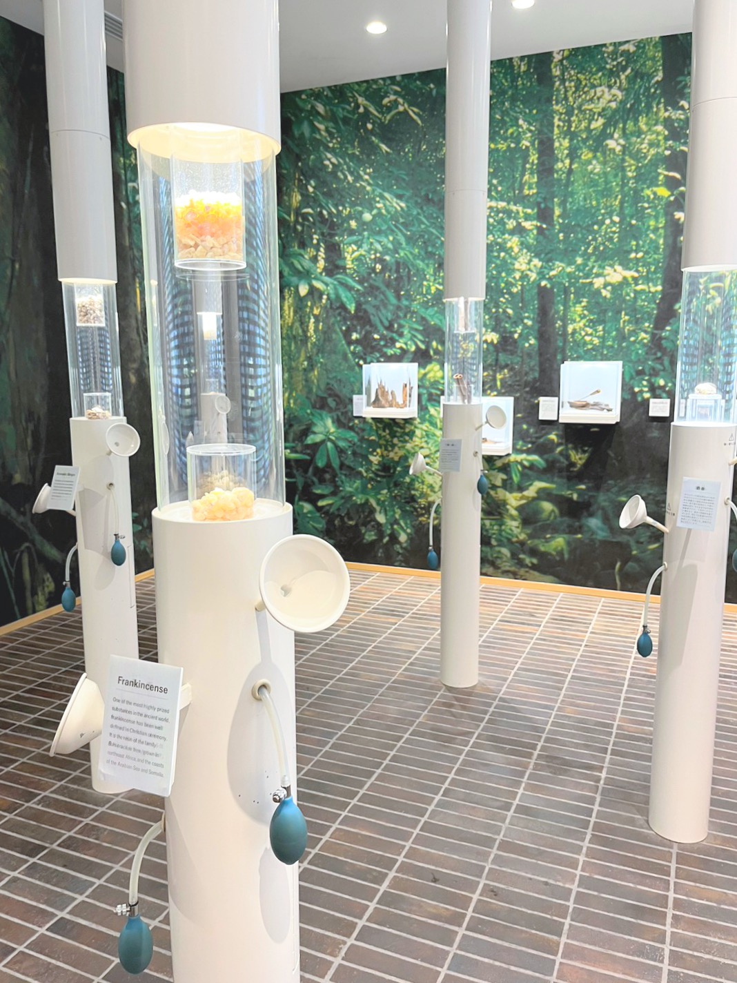 インスタで人気！京都の無料観光スポット『薫習館』