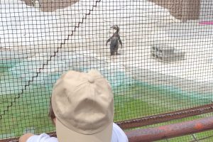 息子2回目の天王寺動物園