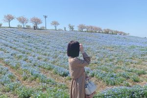 2回目の舞洲ネモフィラまつり2023